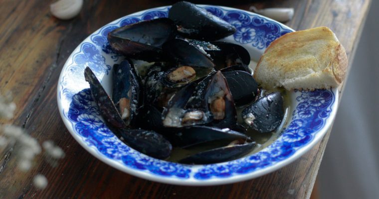 DAGNJE NA BUZARU (VIDEO)